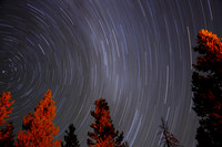 The Cosmos